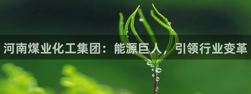 球盟会可以提现么是真的吗：河南煤业化工集团：能源巨人，引领行