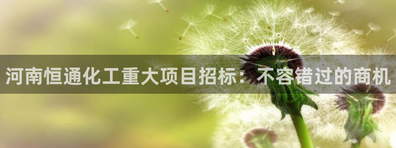 球盟会qmh - 球盟会官方网站：河南恒通化工重大项目招标：