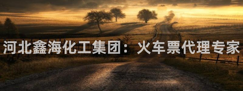 球盟会登陆入口：河北鑫海化工集团：火车票代理专家