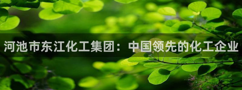 球盟会电子好下吗：河池市东江化工集团：中国领先的化工企业