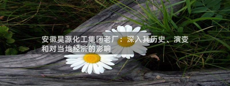 球盟会网页登录入口：安徽昊源化工集团老厂：深入其历史、演变
