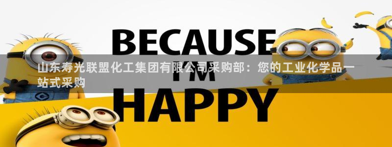 球盟会最新：山东寿光联盟化工集团有限公司采购部：您的工业化学