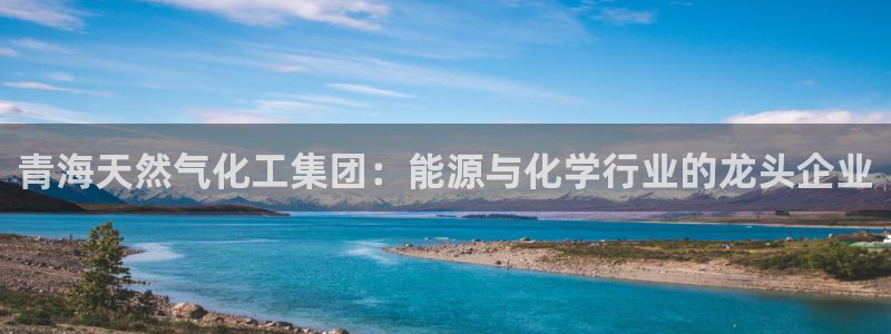 球盟会用的客服聊天是哪个软件：青海天然气化工集团：能源与化学