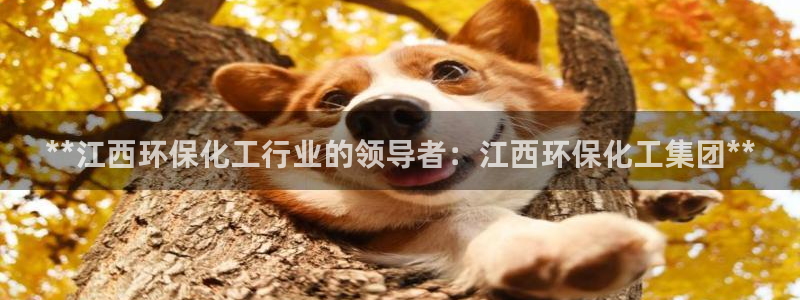 球盟会app最新地址在哪看：**江西环保化工行业的领导者：江
