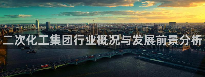 球盟会官方网站入口：二次化工集团行业概况与发展前景分析