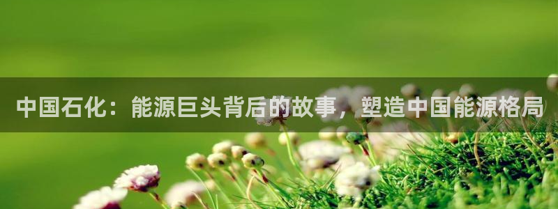 球盟会App：中国石化：能源巨头背后的故事，塑造中国能源格局
