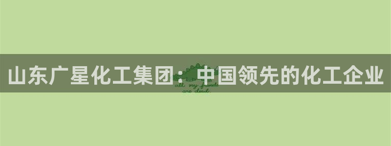 球盟会优惠码：山东广星化工集团：中国领先的化工企业