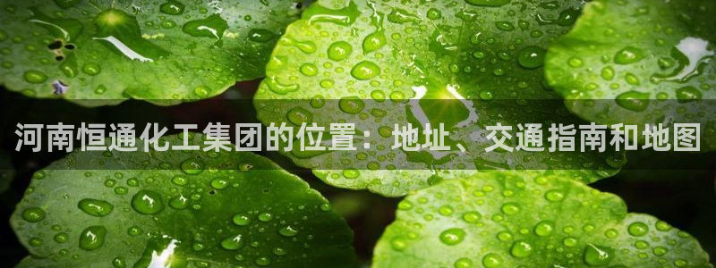 球盟会官方下载：河南恒通化工集团的位置：地址、交通指南和地图