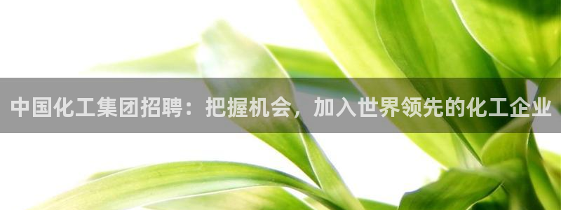 球盟会官网入口：中国化工集团招聘：把握机会，加入世界领先的化