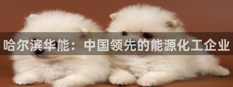 球盟会登录平台：哈尔滨华能：中国领先的能源化工企业
