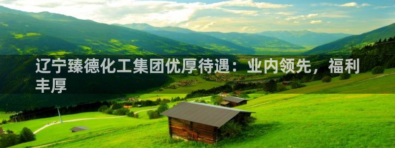 球盟会进不去球员吗：辽宁臻德化工集团优厚待遇：业内领先，福利
