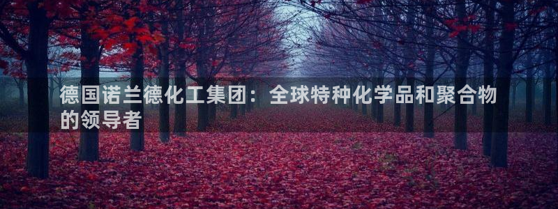 球盟会官方网站：德国诺兰德化工集团：全球特种化学品和聚合物

