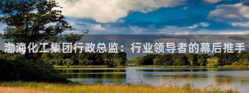 球盟会官方网页登录：渤海化工集团行政总监：行业领导者的幕后推
