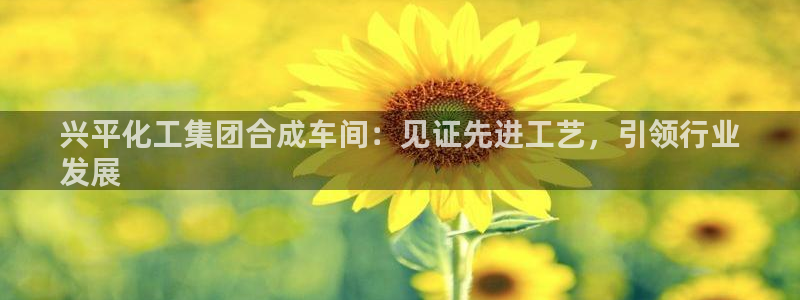 球盟会app手机登录：兴平化工集团合成车间：见证先进工艺，引
