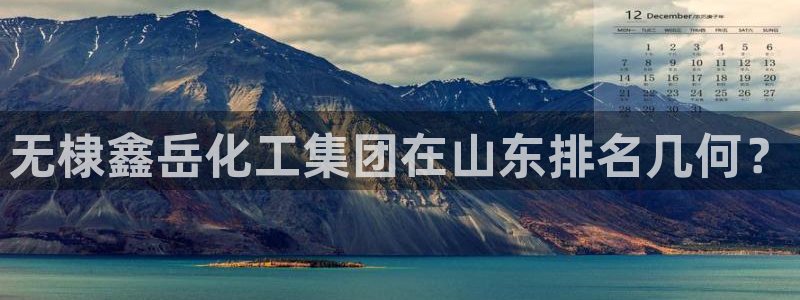 球盟会官方最新入口：无棣鑫岳化工集团在山东排名几何？