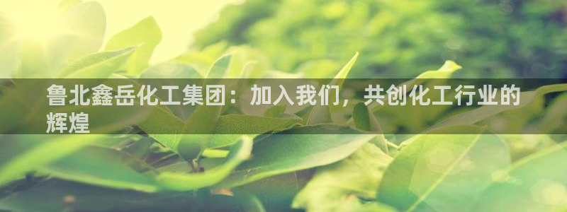 球盟会中国官方网站：鲁北鑫岳化工集团：加入我们，共创化工行业