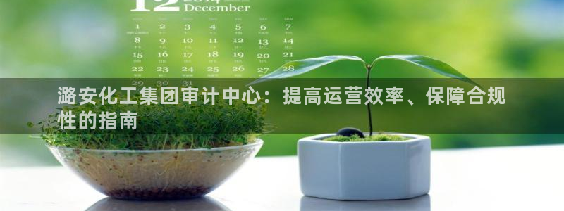 球盟会可以提现么：潞安化工集团审计中心：提高运营效率、保障合