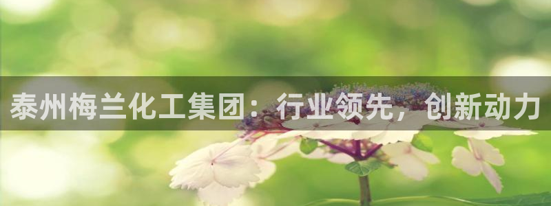 球盟会连接：泰州梅兰化工集团：行业领先，创新动力