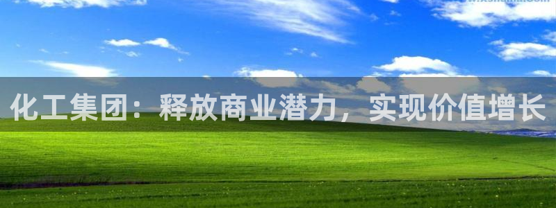 球盟会可以提现么是真的吗：化工集团：释放商业潜力，实现价值增