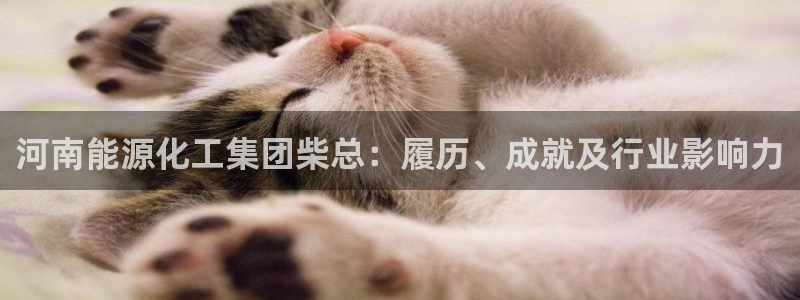 球盟会综合体育平台：河南能源化工集团柴总：履历、成就及行业影
