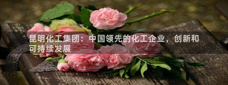 球盟会唯一：昆明化工集团：中国领先的化工企业，创新和
可持续