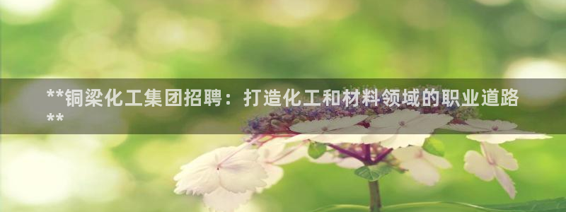 球盟会官方：**铜梁化工集团招聘：打造化工和材料领域的职业道