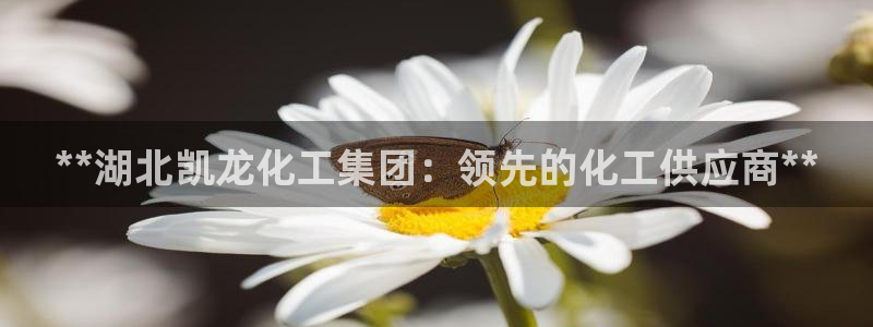 球盟会头号玩家：**湖北凯龙化工集团：领先的化工供应商**