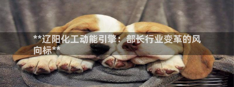 球盟会能提现吗安全吗：**辽阳化工动能引擎：部长行业变革的风
