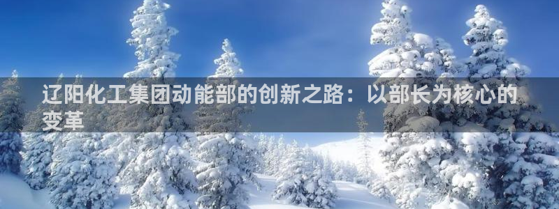 球盟会APP官网：辽阳化工集团动能部的创新之路：以部长为核心