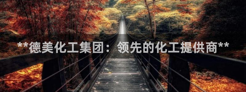球盟会官方网入口：**德美化工集团：领先的化工提供商**