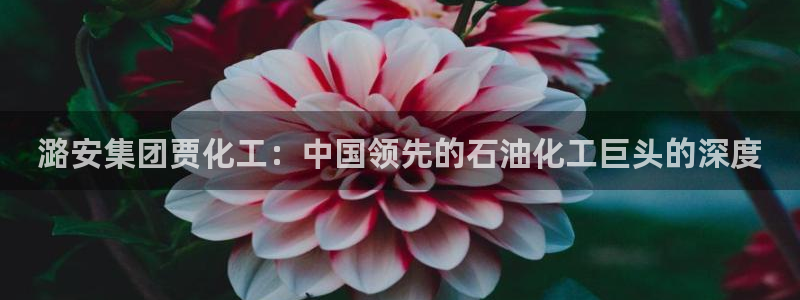 球盟会进不去吗：潞安集团贾化工：中国领先的石油化工巨头的深度