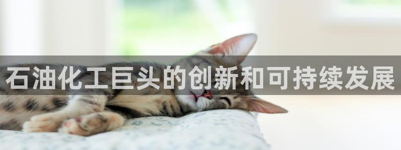 球盟会体验金球奖吗：石油化工巨头的创新和可持续发展
