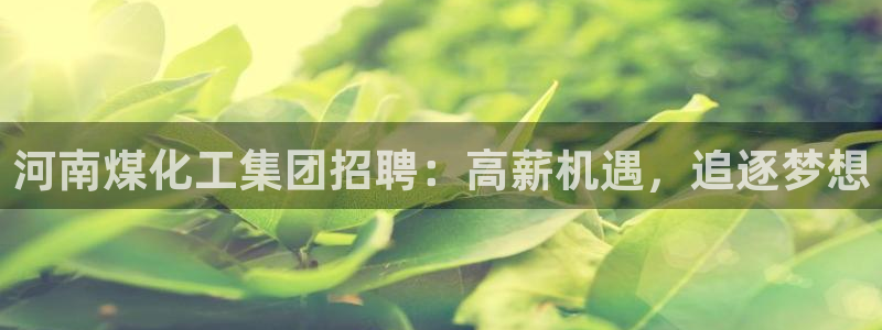 球盟会黑：河南煤化工集团招聘：高薪机遇，追逐梦想