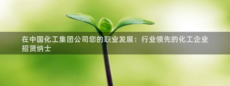 球盟会黑：在中国化工集团公司您的职业发展：行业领先的化工企业