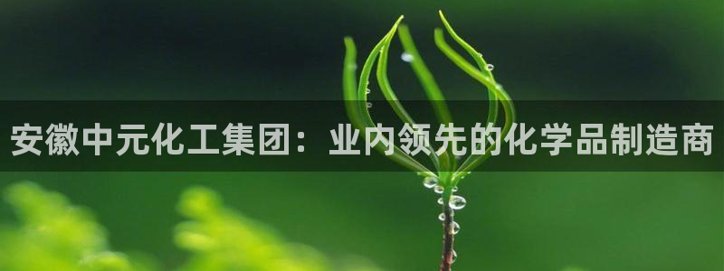 球盟会最新：安徽中元化工集团：业内领先的化学品制造商