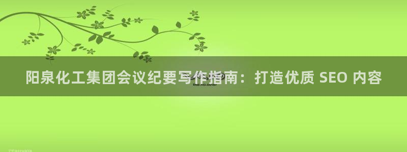 球盟会官方网站app：阳泉化工集团会议纪要写作指南：打造优质