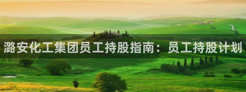 球盟会封号：潞安化工集团员工持股指南：员工持股计划