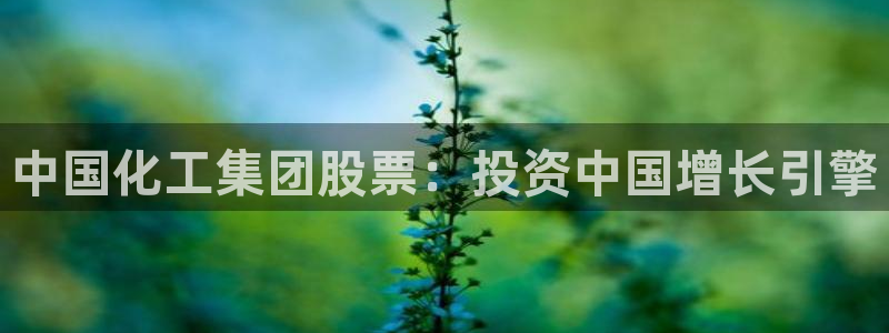 球盟会app最新地址在哪：中国化工集团股票：投资中国增长引擎