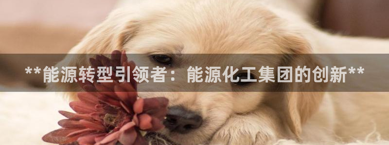 球盟会黑台：**能源转型引领者：能源化工集团的创新**