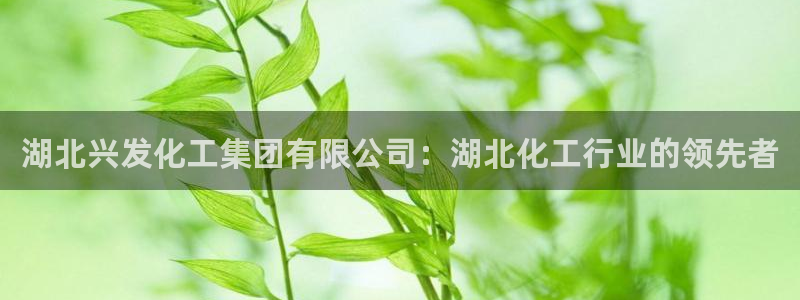 球盟会可靠不：湖北兴发化工集团有限公司：湖北化工行业的领先者