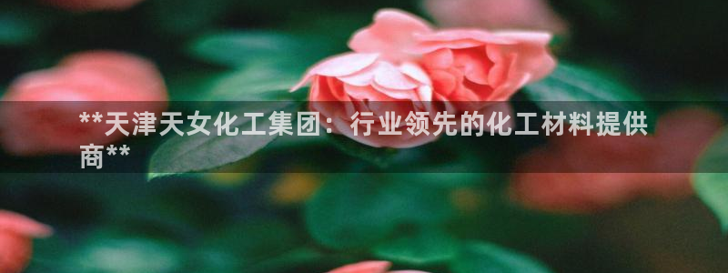 球盟会有没有黑单的球员：**天津天女化工集团：行业领先的化工