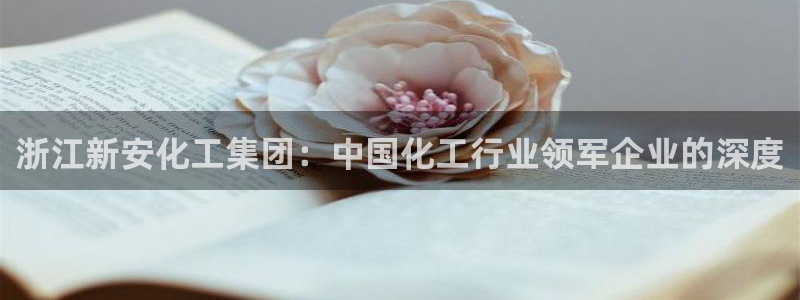 球盟会最新：浙江新安化工集团：中国化工行业领军企业的深度