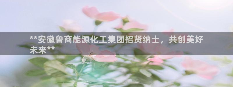 球盟会有没有黑单的活动：**安徽鲁商能源化工集团招贤纳士，共