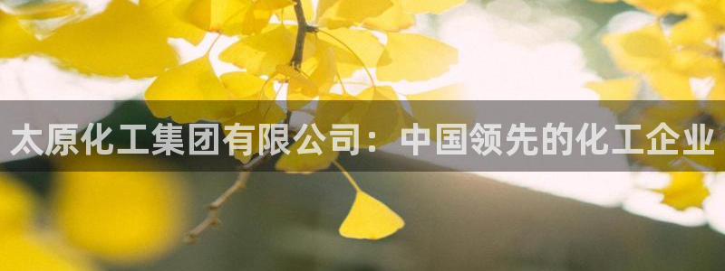 球盟会网页登录：太原化工集团有限公司：中国领先的化工企业