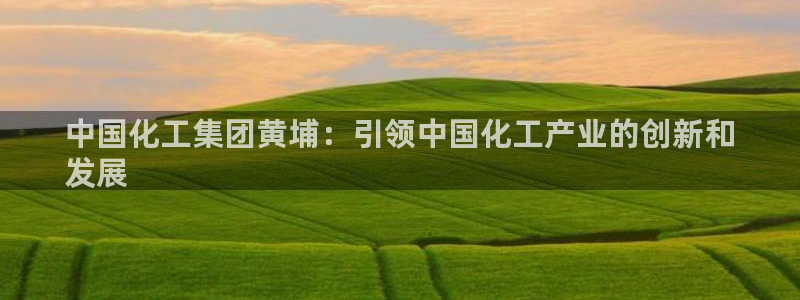 球盟会入口：中国化工集团黄埔：引领中国化工产业的创新和
发展