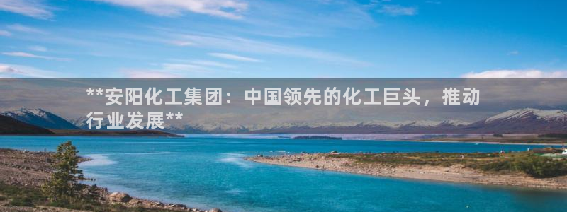 球盟会qm9：**安阳化工集团：中国领先的化工巨头，推动
行