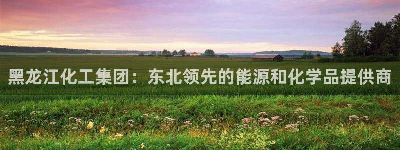 球盟会(中国)官方网站：黑龙江化工集团：东北领先的能源和化学