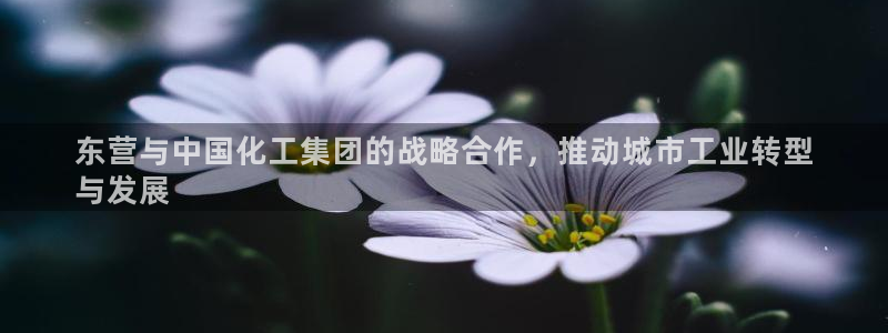球盟会黑款吗知乎：东营与中国化工集团的战略合作，推动城市工业