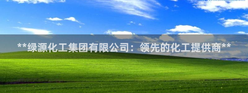 球盟会官方入口：**绿源化工集团有限公司：领先的化工提供商*