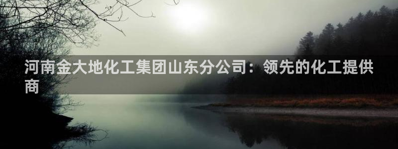 球盟会官方网入口：河南金大地化工集团山东分公司：领先的化工提